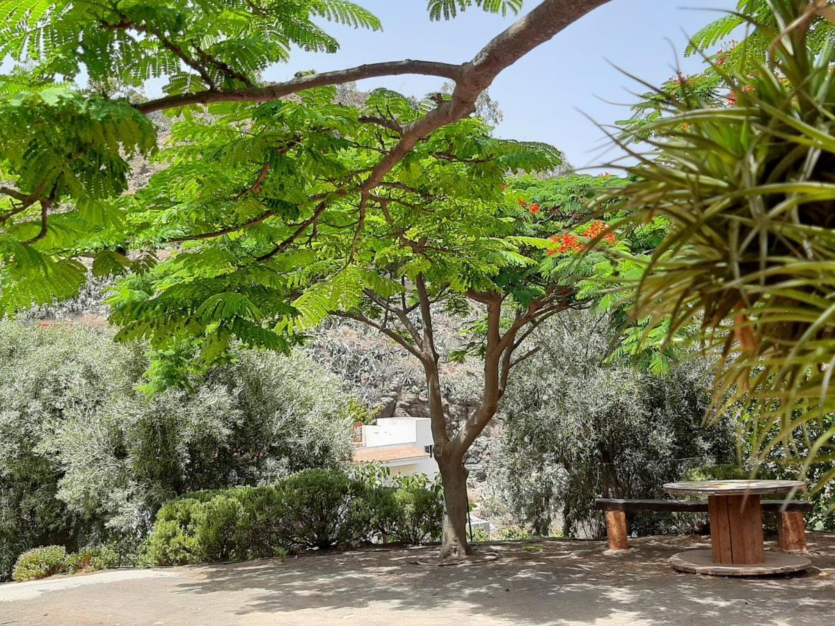 Vila Peaceful House Set On A Vineyard & Work Friendly Valsequillo de Gran Canaria Exteriér fotografie