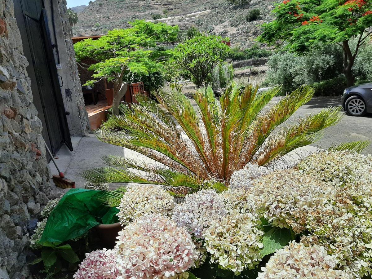 Vila Peaceful House Set On A Vineyard & Work Friendly Valsequillo de Gran Canaria Exteriér fotografie